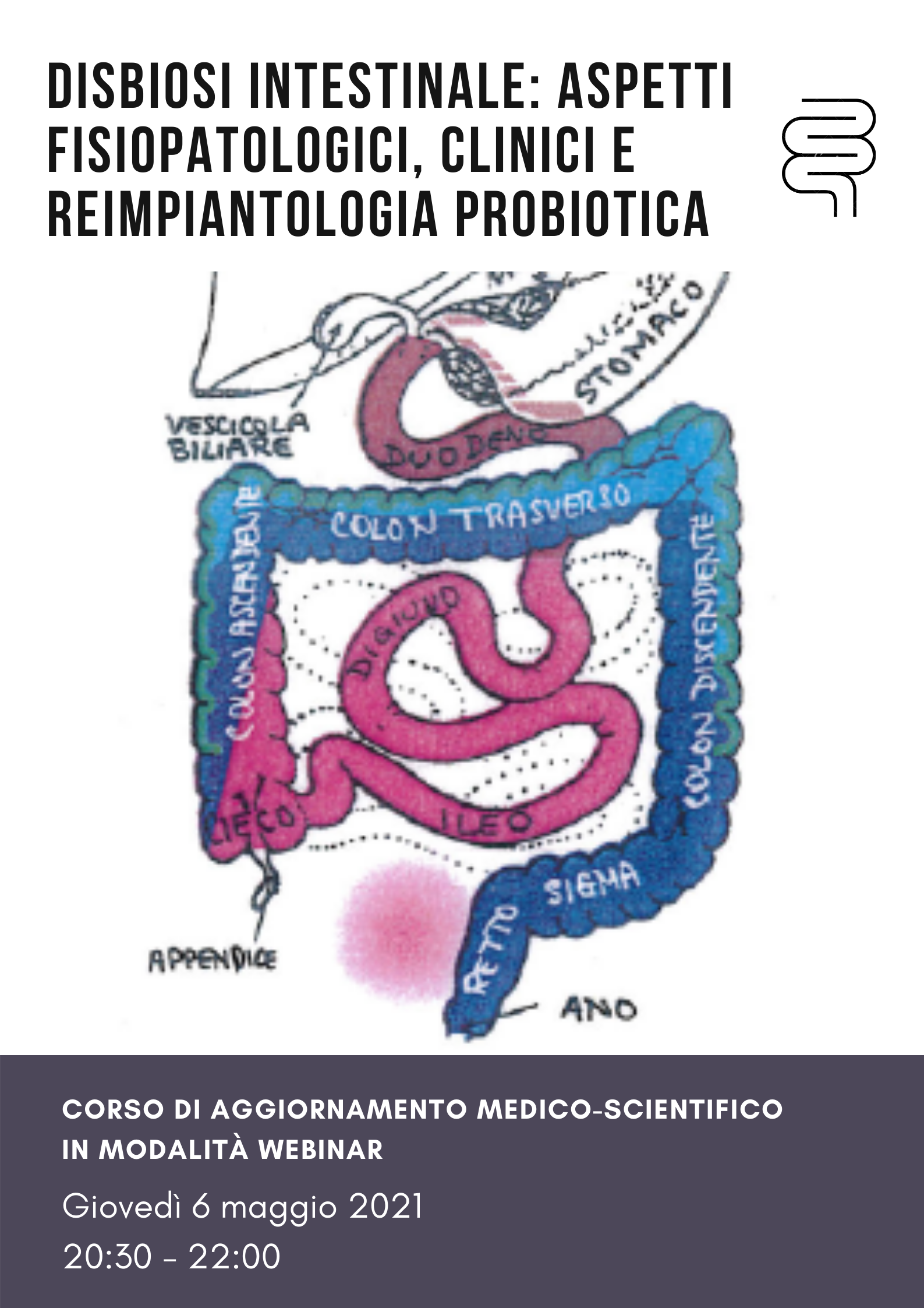 Disbiosi intestinale: aspetti fisiopatologici, clinici e reimpiantologia probiotica