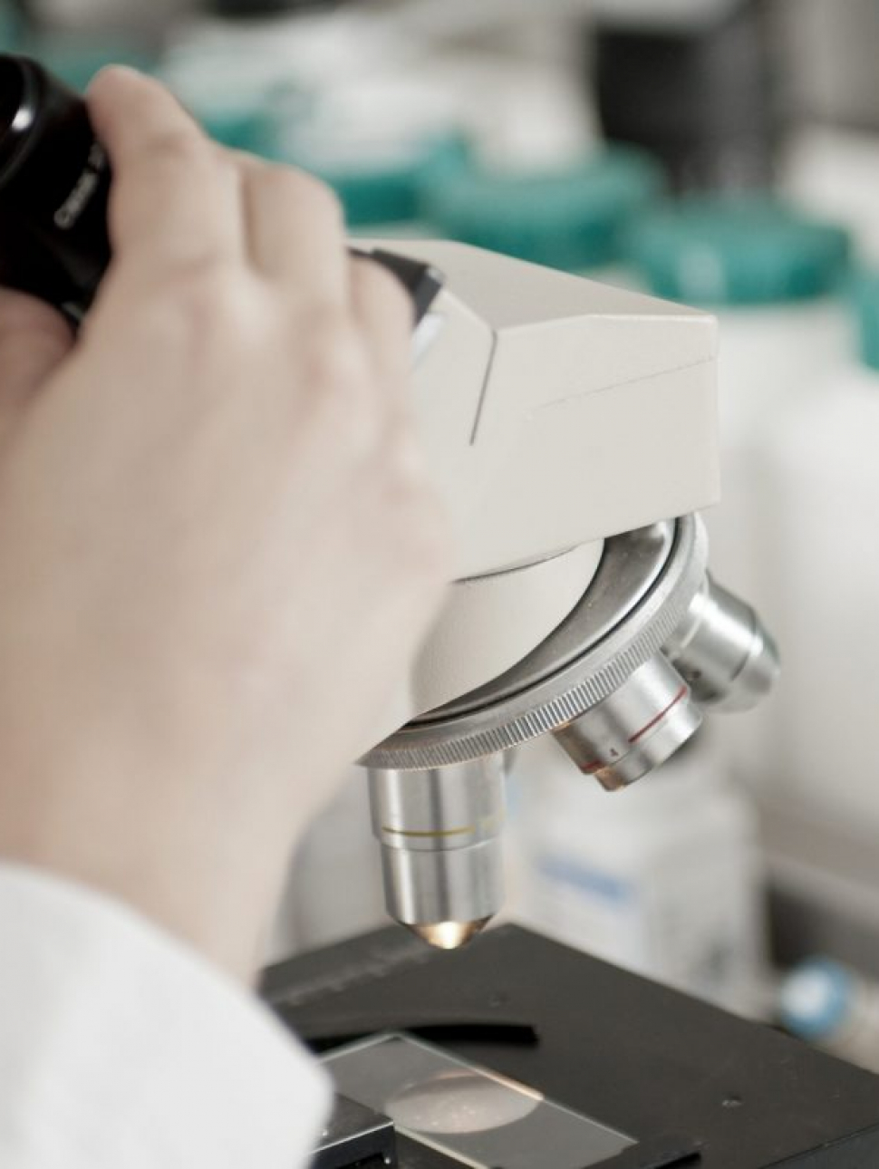 Blog 9 modulare il microbiota intestinale